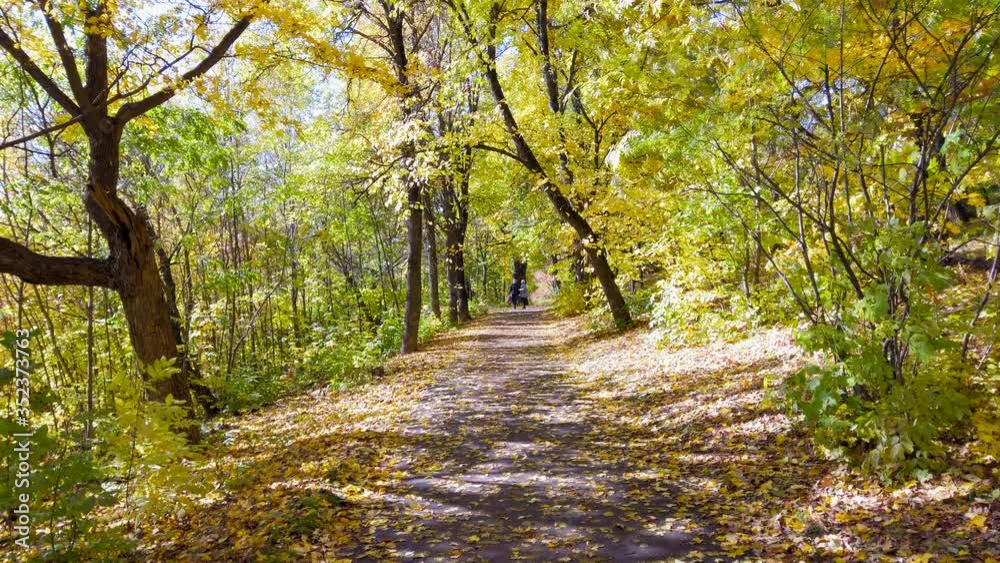 Autumn leaf fall in the city Park, the silhouettes of two women walking along the path of the Park strewn with falling yellow leaves Autumn leaf fall in the city Park, the silhouettes of two women walking along the path of the Park strewn with falling yellow leaves