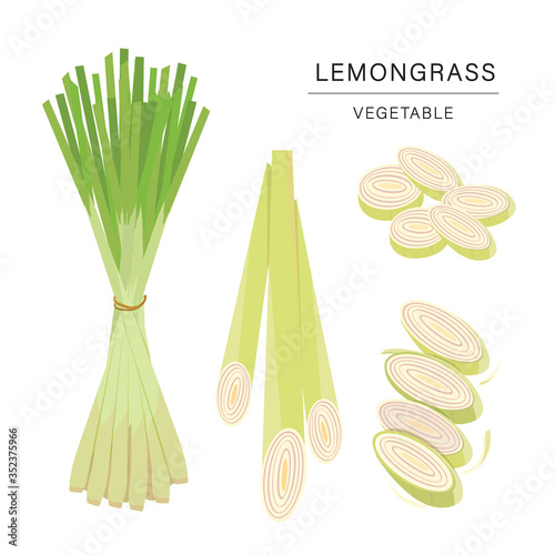 Set of Lemongrass Vegetable Slices. Organic and healthy food isolated element Vector illustration.
