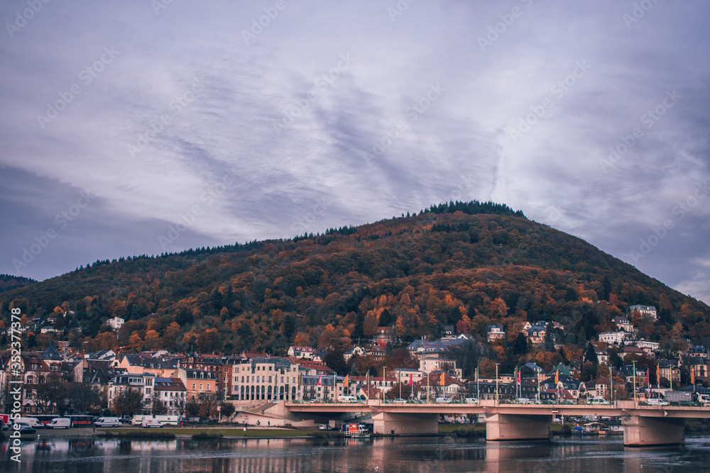 Afternoon view of Heidelberg, Germany