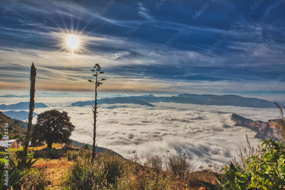 Obraz premium Sunrise on top of a hill and a sea of clouds down below panorama