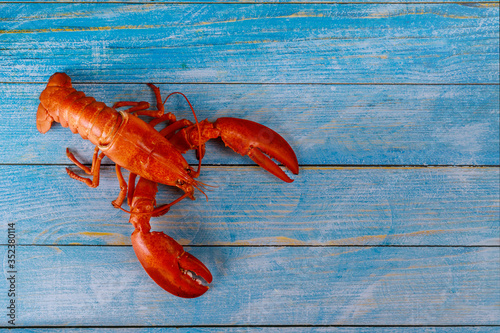 Cooked lobster with dinner on wooden background