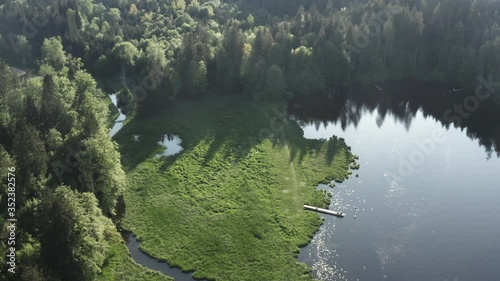 The beautiful, bright green forest by the Hackensee Lake in Germany - aerial photo