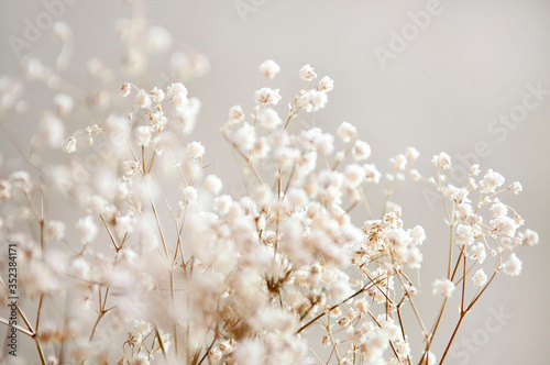 Close-up Of White Flowers © valeria vanessa/EyeEm