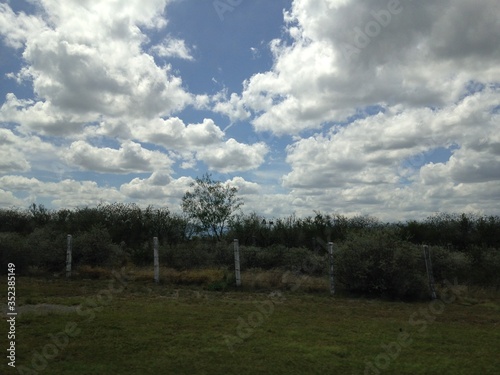 Paisaje en una Colina