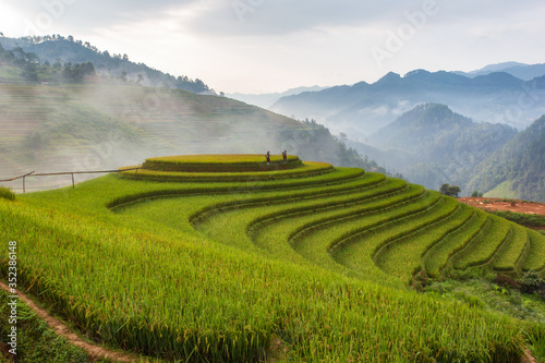 Terraced rice paddy field landscape of Mu Cang Chai