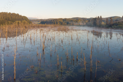 River or swamp with steam in the morning. In the forest. Beautiful landscape at dawn.