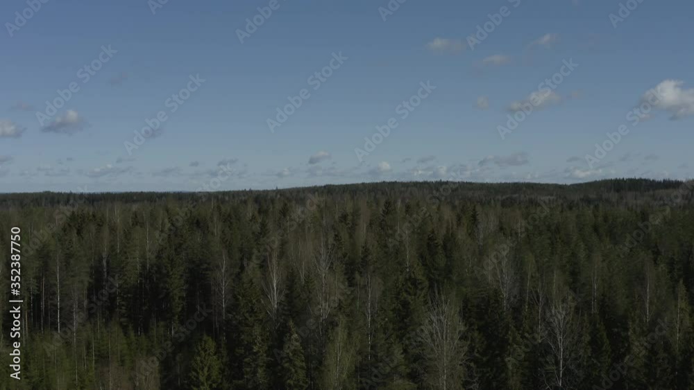 Aerial view. Drone fly above the trees in the tundra forest. Aerial view. Drone fly above the trees in the tundra forest.