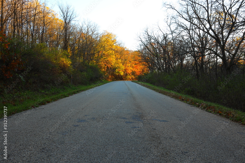 Road to fall Road to fall