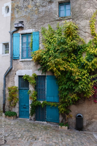 Overgrown facade of an old stone house. Blue windows and doors. Autumn France, Blois.