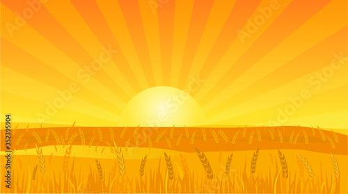 Landscape Background Vector Illustration of a Wheat Field at Sunset