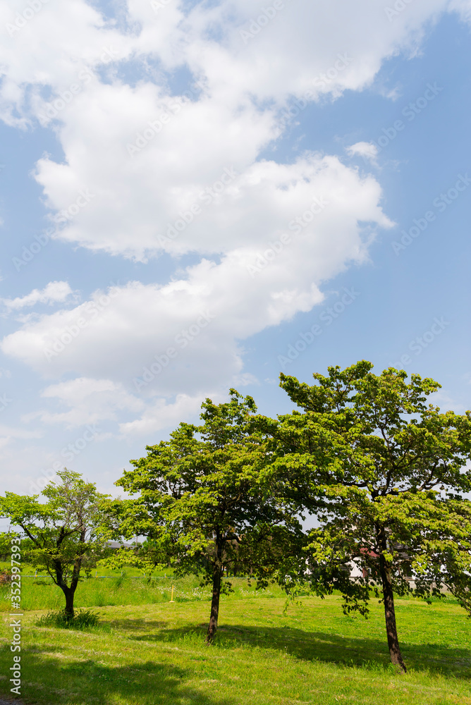 青空と白い雲と緑の木々