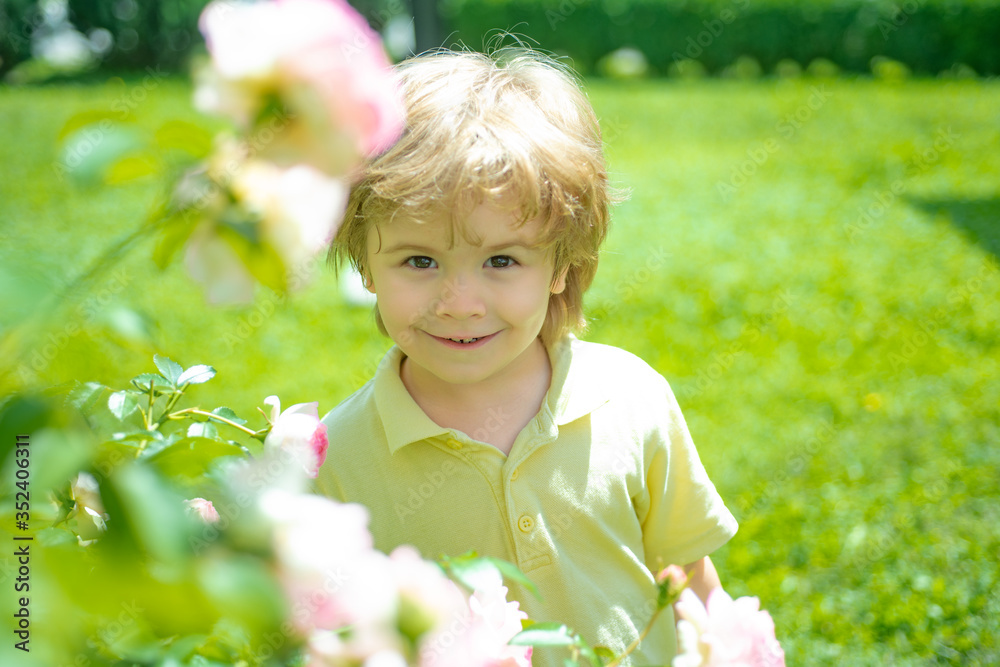 A boy in the garden near the roses. Child in nature. A boy in the garden near the roses. Child in nature.