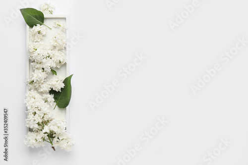 Plate with beautiful lilac flowers on white background