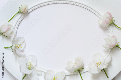 Wallpaper Mural empty white oval frame with delicate Apple blossoms. blank with flowers. mockup card for womans day wedding Torontodigital.ca