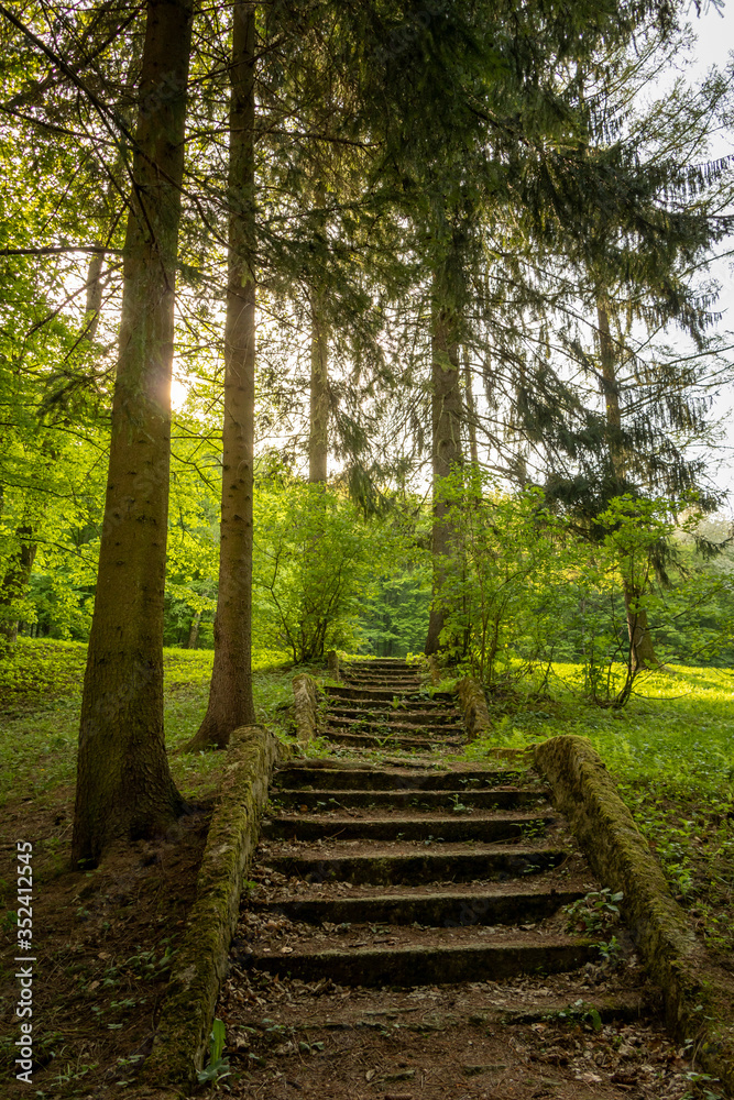 Stairway in the forest with sunlight backgrounds in a suburban recreational and relaxing location in the Bratislava Forest Park