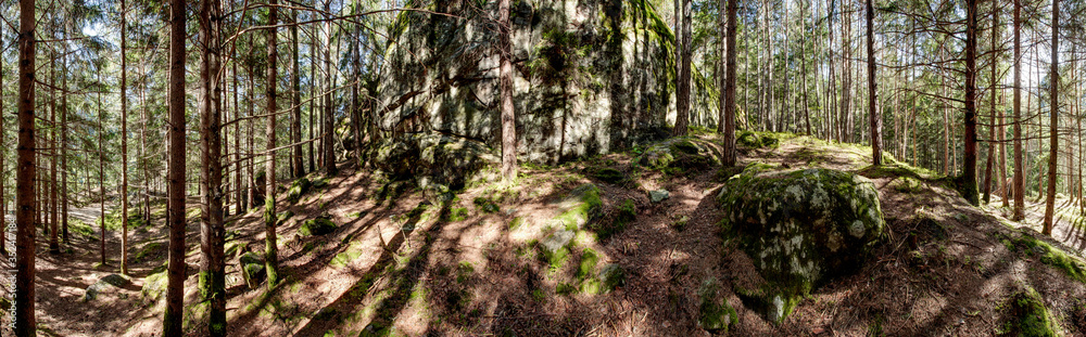Waldpanorama, Wald mit moosbedeckten Felsen Waldpanorama, Wald mit moosbedeckten Felsen