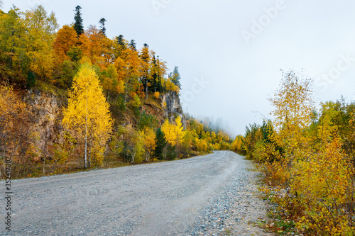 A rural road among golden colored autumn forest in misty mountains