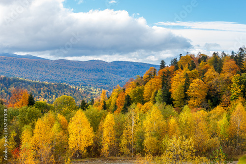 Autumn colored trees in a forest on the slope of a mountain