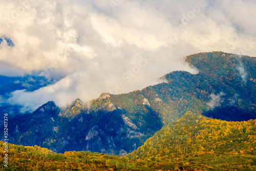A mountain range covered by autumn colored forest and low clouds