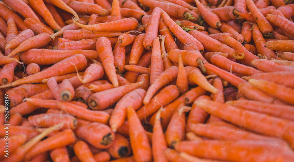 Fresh carrots on a market counter. Fresh carrots on a market counter.