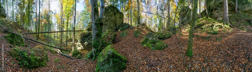 Waldpanorama, Wald mit moosbedeckten Felsen Waldpanorama, Wald mit moosbedeckten Felsen