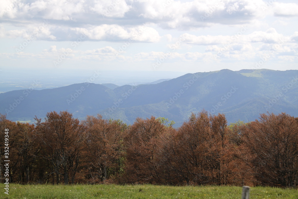 Dry frozen may mountains forest Dry frozen may mountains forest