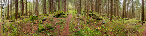 Waldpanorama, Wald mit moosbedeckten Felsen
