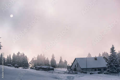 winter wonderland © Michael