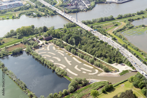 Schierlings-Wasserfenchel Billwerder Insel, Hamburg, Umweltschutz, Ausgleichsfläche für den Hafen photo
