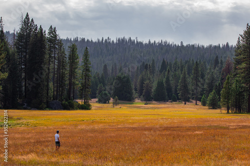 walk with nature