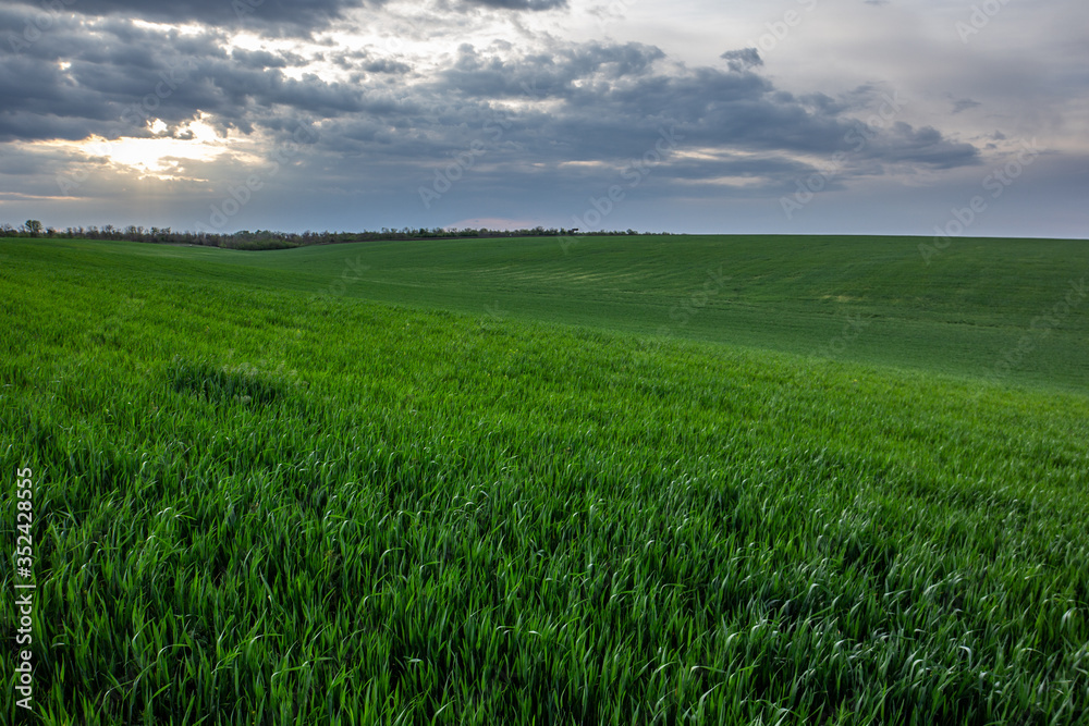 Spring sky