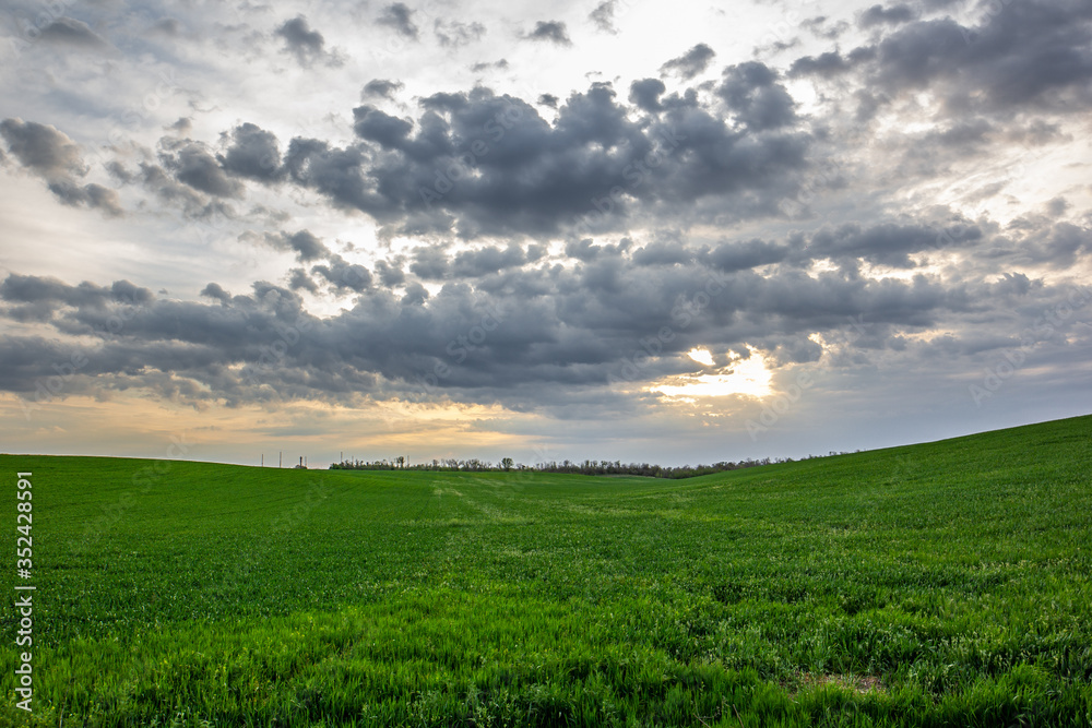 Obraz premium Glow over the fields