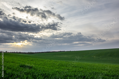 Rays in the sky