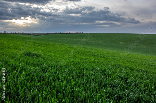 Spring sky