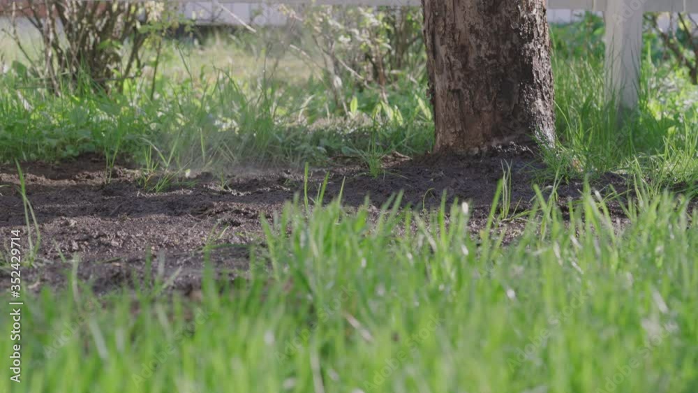Man Wearing Lawn Shoes, Watering The Ground Around A Tree In The Garden - closeup shot Man Wearing Lawn Shoes, Watering The Ground Around A Tree In The Garden - closeup shot