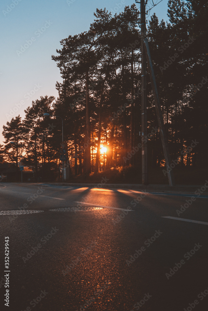 road in the forest with sunset road in the forest with sunset