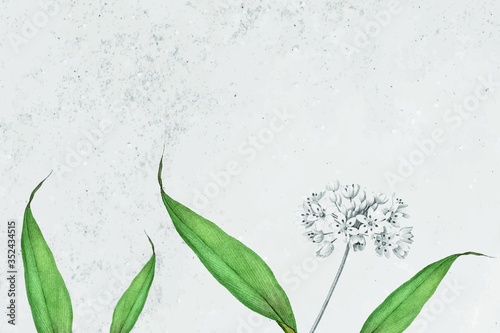 Spring garlic pattern on a grunge gray background vector