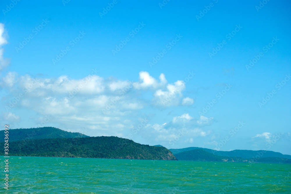 Fototapeta premium View on the forests of australia