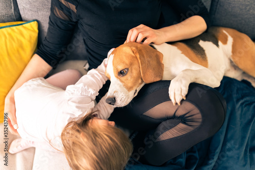 Young mother with 2 years old daughter on a sofa in bright room pet the beagle dog. © Przemyslaw Iciak