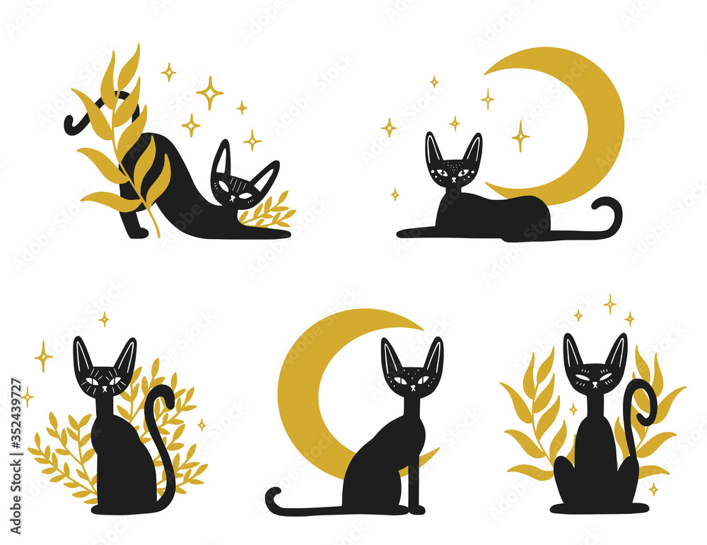 Set of black magic cats and plants. Isolated boho cat collection. Vector illustration.
