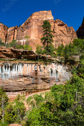 Southwest usa Zion National Park The main part of the park is Zion Canyon surrounded by the walls of the Deertrap, Cathedral and Majestic Mountain mountains. The Virgin River flows through the canyon.