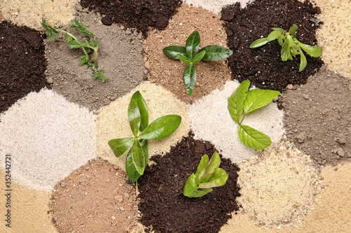 Different types of soil wit...