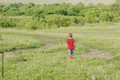 back view of little boy in red shirt runs in green summer meadow. Summer outdoor activities.