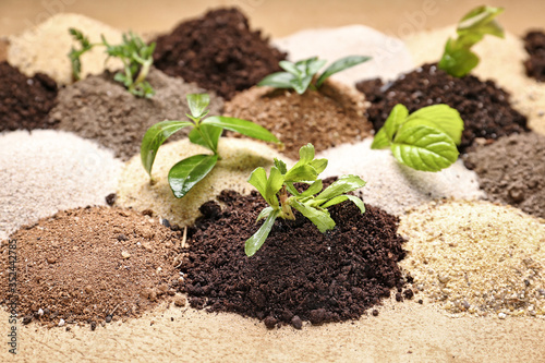 Different types of soil wit...