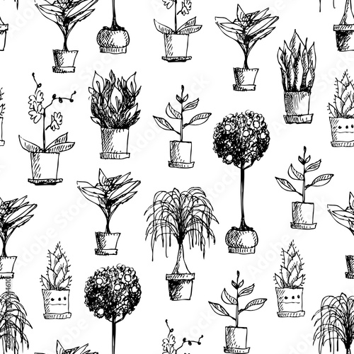 Houseplants seamless pattern. Vector image with hand draw pattern.