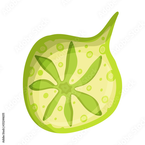 Plankton vector icon.Cartoon vector icon isolated on white background plankton.