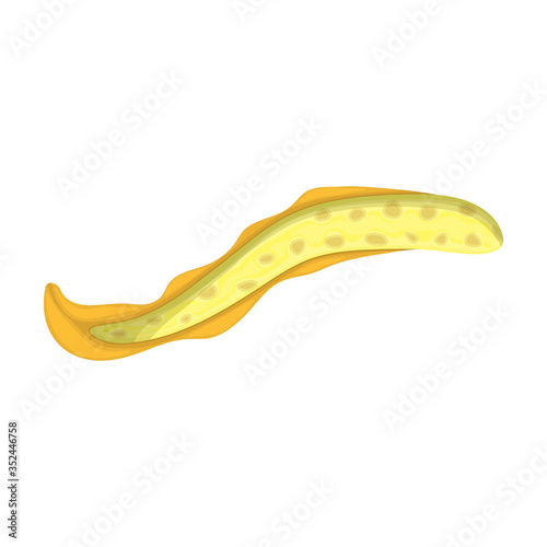 Plankton vector icon.Cartoon vector icon isolated on white background plankton.