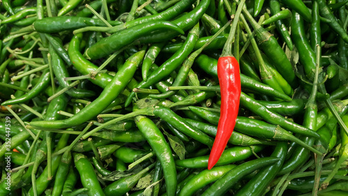Red chili pepper on green chili peppers background