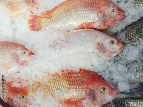 Fresh raw fish in ice, fresh food in the market.