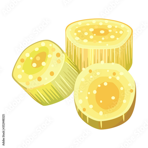 Slice sugar cane vector icon.Cartoon vector icon isolated on white background slice sugar cane.